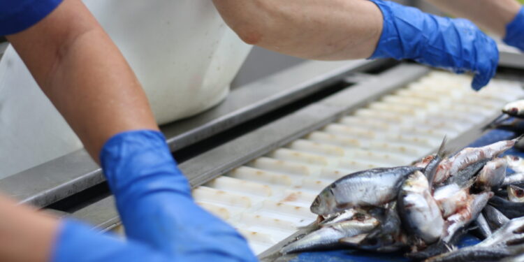 Frente común para combatir el descenso del consumo de pescado