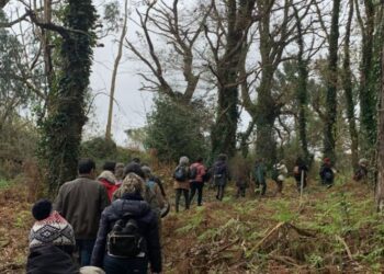 Una foliada para defender un pulmón verde de Vigo