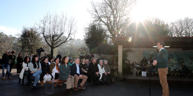 Una exposición para «mostrar al mundo» la riqueza de la camelia, «la flor de las Rías Baixas»