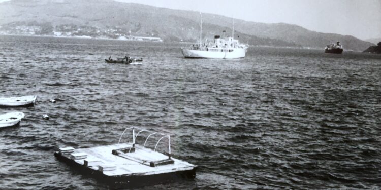Nadando en el puerto de Vigo