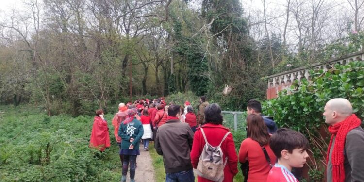 «Ningún mausoleo para macroconciertos como el Vigo Arena puede justificar un arboricidio a gran escala»