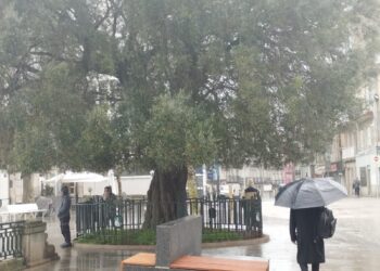 Fin de semana bajo alerta en Vigo y su área: avisos por mala mar, viento y lluvias
