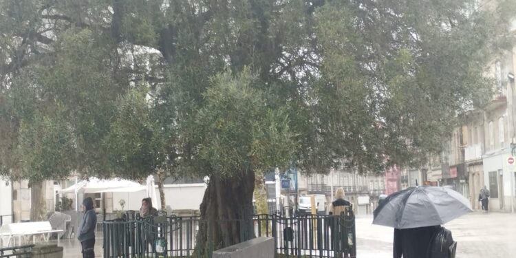 Fin de semana bajo alerta en Vigo y su área: avisos por mala mar, viento y lluvias