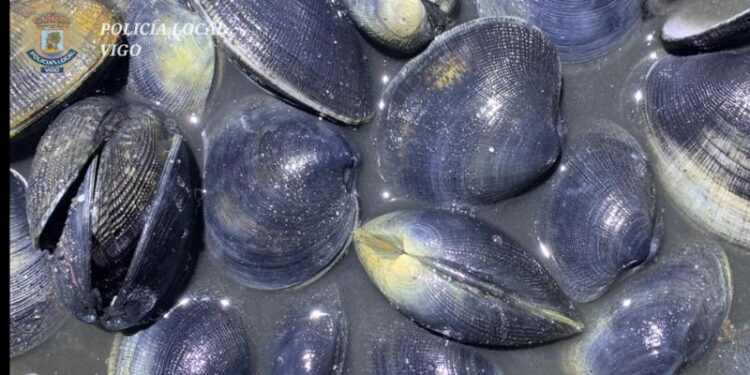 El dron de la Policía Local sigue cazando furtivos en la ETEA