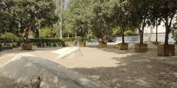 ¿Crees que es bueno que haya parques caninos en Vigo? La encuesta que ya puedes responder