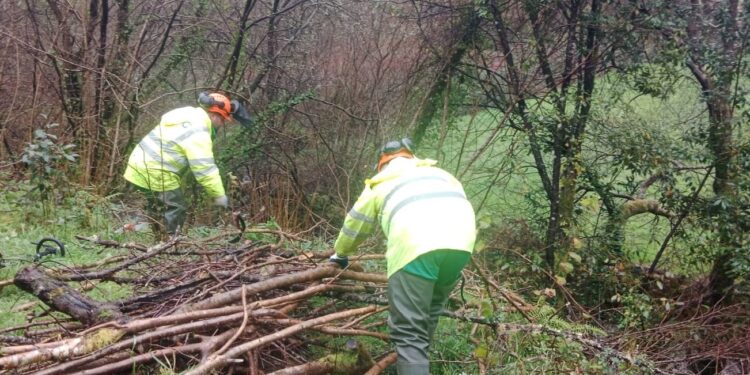 Se inicia la limpieza de varios ríos en el Val Miñor para evitar desbordamientos