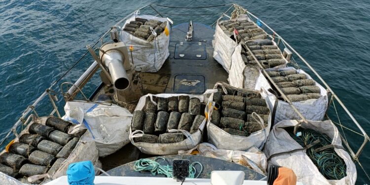Confiscadas 500 «nasas» ilegales y 42 kilos de pulpo en la costa de Oia
