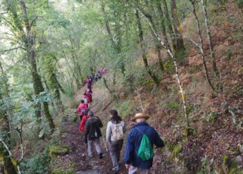 Camiño a Camiño 2025, 17 años de rutas que conectan Vigo con la naturaleza