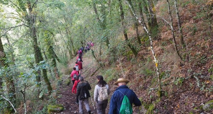 Camiño a Camiño 2025, 17 años de rutas que conectan Vigo con la naturaleza