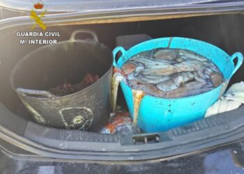 Más de 8 kilos de centolla y 45 de pulpo: el botín de un furtivo que acaba en un comedor social