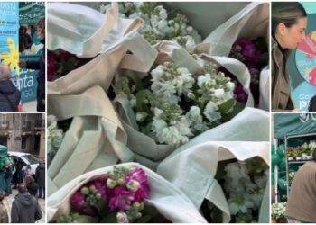 Vigo se reconquista con flores y color