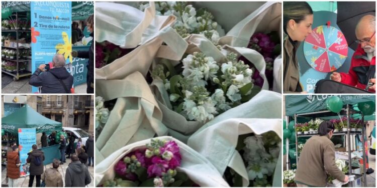 Vigo se reconquista con flores y color