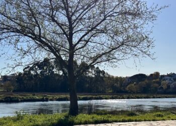 Estuario del Río Lagares