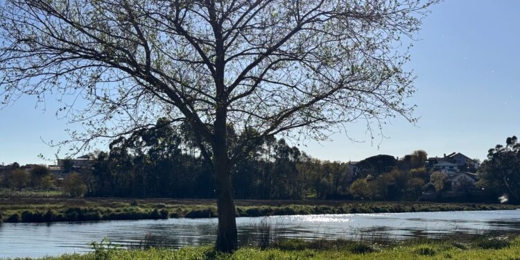 Estuario del Río Lagares