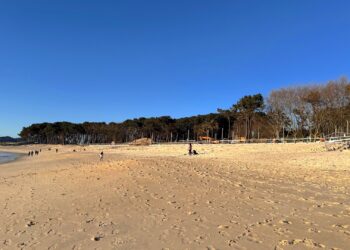 La playa de Samil recupera su verdadera dimensión