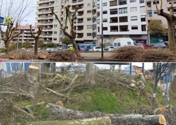 Tildan a Caballero de «alcalde leñador» y le exigen que «cese el suicidio en términos ambientales»
