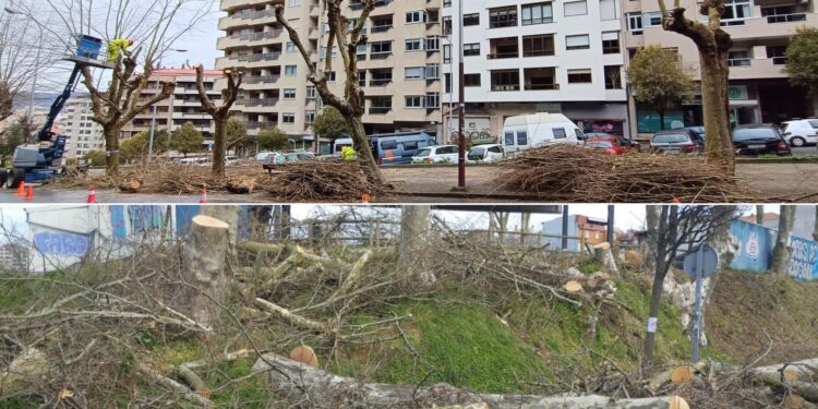 Tildan a Caballero de «alcalde leñador» y le exigen que «cese el suicidio en términos ambientales»