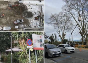 El BNG de Vigo denuncia un nuevo «arboricidio» del «alcalde-leñador»