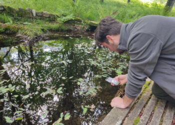 ¿Queres participar nunha competición para coñecer a flora e fauna do campus de Vigo?