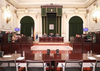 Unanimidad en la Diputación para reclamar ante el Estado y la UE que Vigo sea puerto nodal