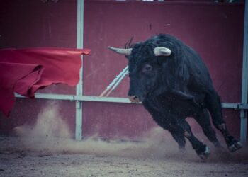 El sufrimiento a nuestro alrededor que los responsables políticos permiten y los periodistas ignoran