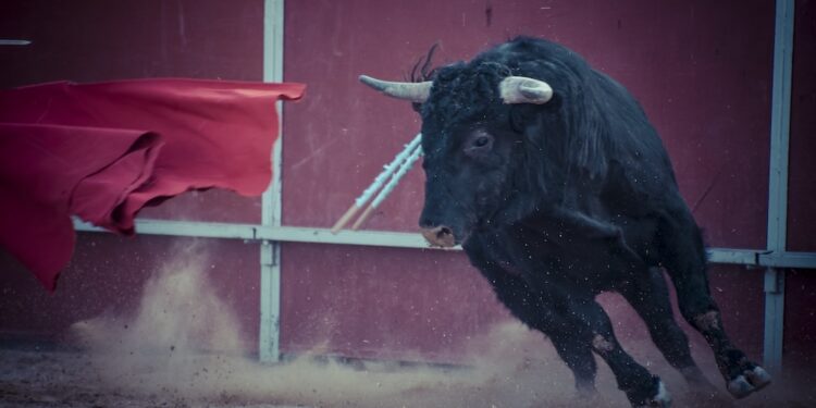 El sufrimiento a nuestro alrededor que los responsables políticos permiten y los periodistas ignoran