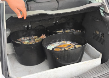 La Policía Nacional decomisa más de 76 kilos de pulpo ilegal