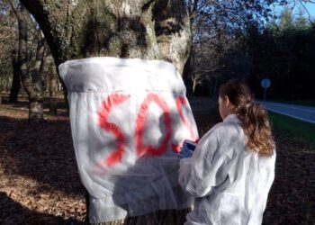 Ecoloxistas en Acción alza la voz contra el proyecto GS360 del Celta