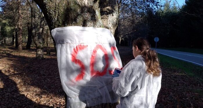 Ecoloxistas en Acción alza la voz contra el proyecto GS360 del Celta