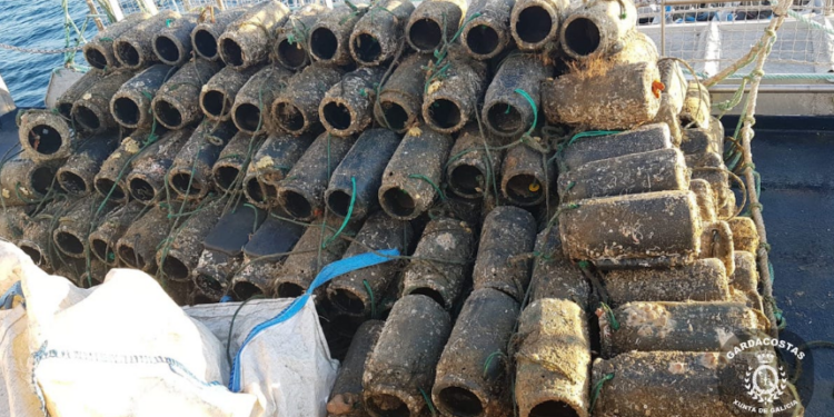 Cazan a un barco portugués con casi 250 kilos de pulpo capturado en pleno paro biológico