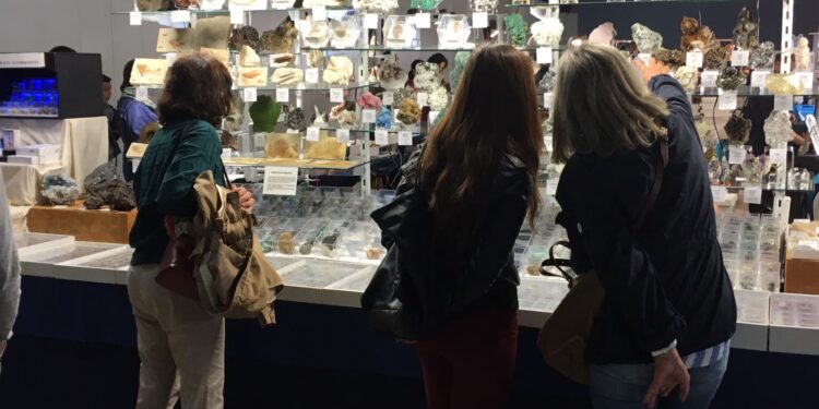 Minervigo vuelve con 15.000 piezas y una cabeza de Tyrannosauros Rex de dos metros