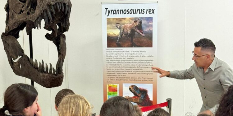 Minervigo regresa tras una larga ausencia de siete años