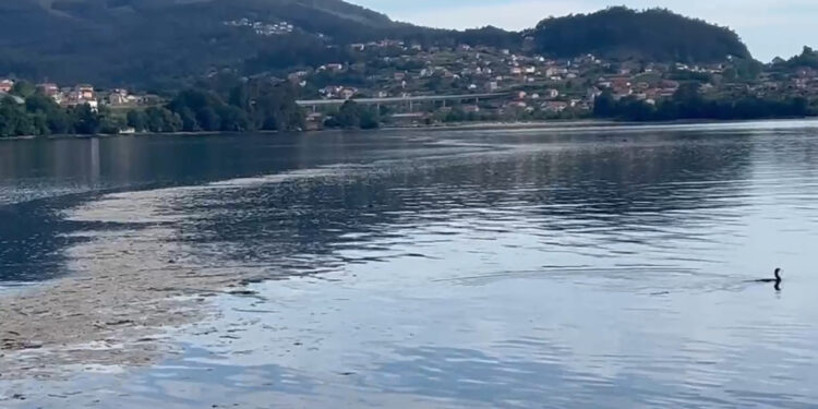 La Xunta recomienda no bañarse en playas y ríos por el mal estado del agua tras el apagón