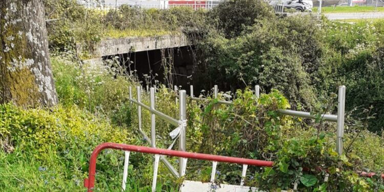 Radiografía del paseo del Lagares: maleza, árboles sobre el cauce y riesgo de derrumbe