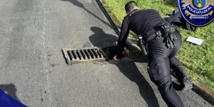 Entrañable rescate de la Policía Local en Redondela