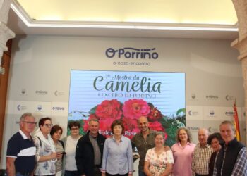 O Porriño se suma al «culto» a la camelia transformando uno de sus parques en un «gran escaparate floral»