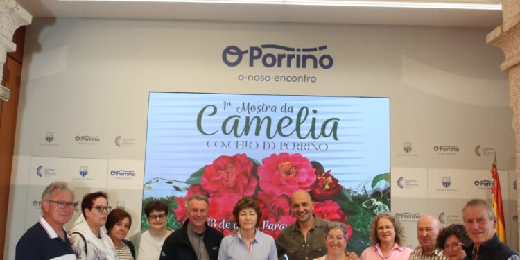 O Porriño se suma al «culto» a la camelia transformando uno de sus parques en un «gran escaparate floral»