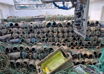 Diez días de veda del pulpo: decomisados 350 kilos y 1.290 nasas ilegales para capturarlo