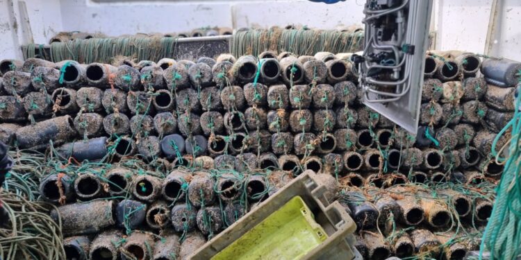 Diez días de veda del pulpo: decomisados 350 kilos y 1.290 nasas ilegales para capturarlo