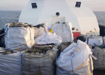 Decomisados casi 380 kilos de pulpo y más de 2.000 nasas entre cabo Silleiro y A Guarda