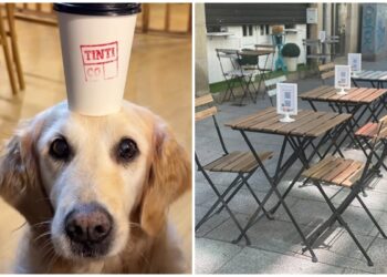 Vigo ya cuenta con dos nuevos ‘soletes’ (y dulces locales) donde las mascotas son bienvenidas