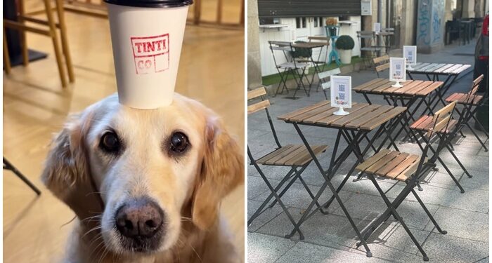 Vigo ya cuenta con dos nuevos ‘soletes’ (y dulces locales) donde las mascotas son bienvenidas