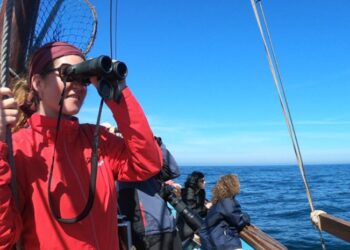 La centenaria goleta de Vigo busca pasajeros para una nueva aventura: avistamiento de orcas y ballenas
