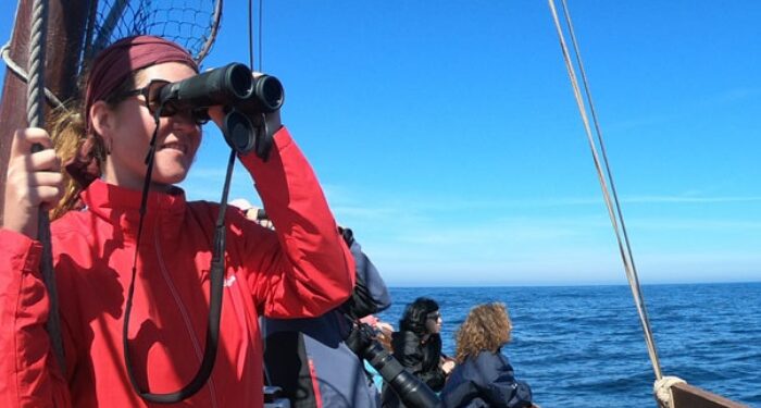 La centenaria goleta de Vigo busca pasajeros para una nueva aventura: avistamiento de orcas y ballenas