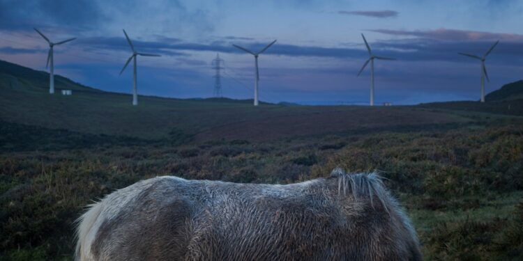 El alma rural se desvela en el Quiñones de León