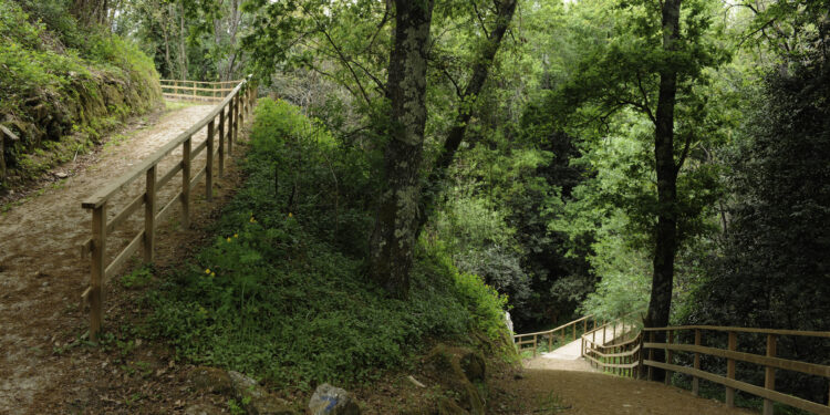 Arbo mellora os seus tesouros naturais: os sendeiros do Miño, do Deva e da Moura