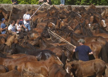 Segunda cita de la temporada en Oia: llega el turno del curro de Torroña