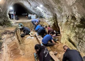 Investigadores de la UVigo y de la USC aportan nuevos datos sobre cómo vivían los neandertales en Galicia