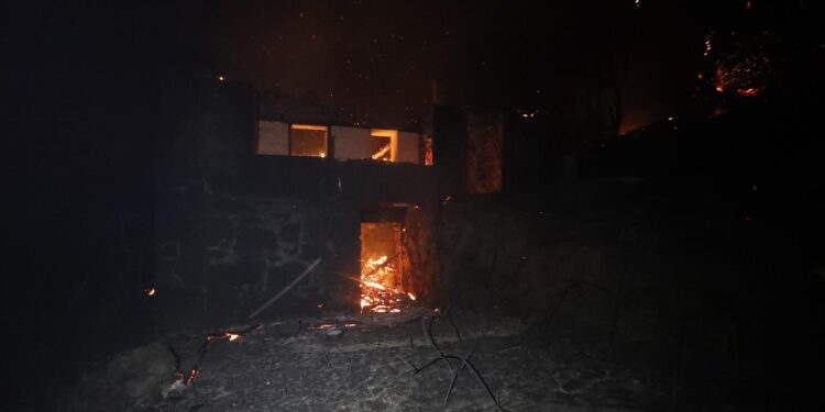 Un juzgado exime a la Xunta de indemnizar a una explotación de manzanas y kiwis destruida por un incendio forestal