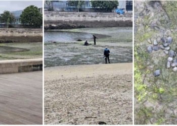 Sorprendido en la playa de Bouzas con 27 almejas en los bolsillos